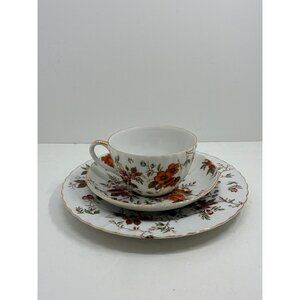 Vintage Norcrest Autumn Glory Teacup Saucer and Plate Set